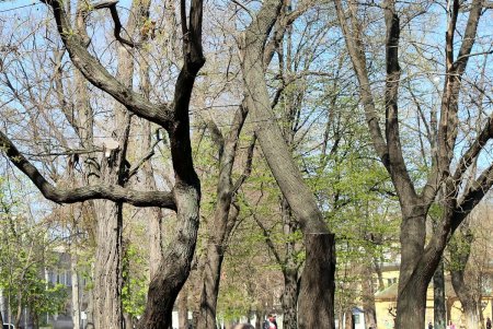В масках – лишь единицы: одесситы гуляют в центре города, игнорируя рекомендации оставаться дома (фоторепортаж)