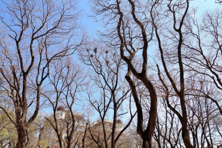 В масках – лишь единицы: одесситы гуляют в центре города, игнорируя рекомендации оставаться дома (фоторепортаж)