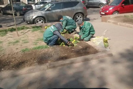 Коммунальщики украсили зеленую зону возле ОГА цветочными композициями (фото)