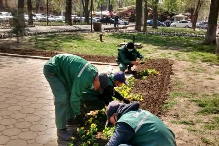 Коммунальщики украсили зеленую зону возле ОГА цветочными композициями (фото)