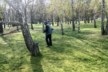 Коммунальщики украсили зеленую зону возле ОГА цветочными композициями (фото)