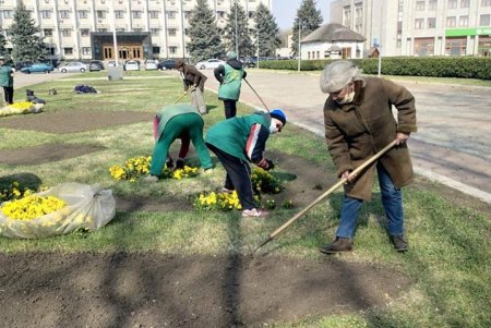 Коммунальщики украсили зеленую зону возле ОГА цветочными композициями (фото)