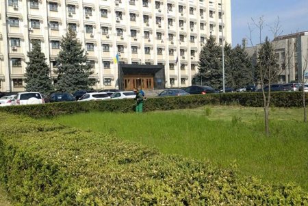 Коммунальщики украсили зеленую зону возле ОГА цветочными композициями (фото)