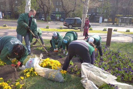 Коммунальщики украсили зеленую зону возле ОГА цветочными композициями (фото)