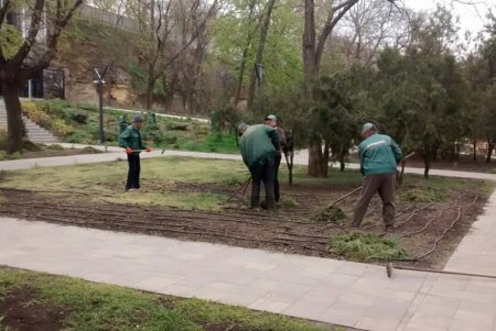 Коммунальщики украсили зеленую зону возле ОГА цветочными композициями (фото)