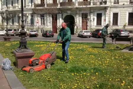 Коммунальщики украсили зеленую зону возле ОГА цветочными композициями (фото)