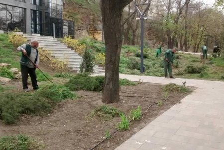 Коммунальщики украсили зеленую зону возле ОГА цветочными композициями (фото)