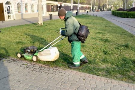 Коммунальщики украсили зеленую зону возле ОГА цветочными композициями (фото)