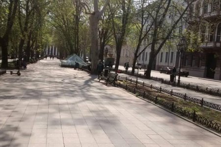 Коммунальщики украсили зеленую зону возле ОГА цветочными композициями (фото)