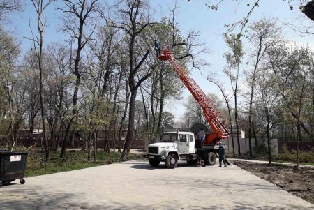 Коммунальщики украсили зеленую зону возле ОГА цветочными композициями (фото)