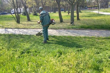 Коммунальщики украсили зеленую зону возле ОГА цветочными композициями (фото)