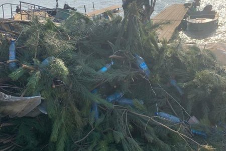 Более 3000 искусственных нерестилищ установили в лиманах и озерах региона (фото)