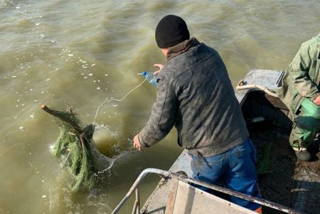 Более 3000 искусственных нерестилищ установили в лиманах и озерах региона (фото)