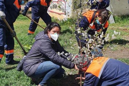 На месте стихийной свалки на Таирова высадили молодые деревья (фото)