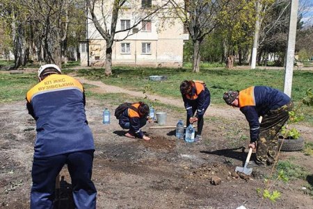 На месте стихийной свалки на Таирова высадили молодые деревья (фото)