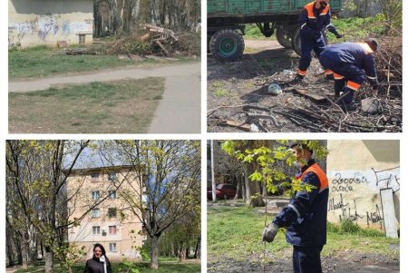 На месте стихийной свалки на Таирова высадили молодые деревья (фото)