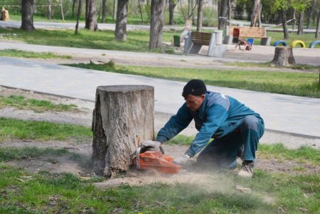 Нынешней весной в Одессе высадят более 4000 квадратных метров цветников и установят освещение в городских скверах (фото, видео)
