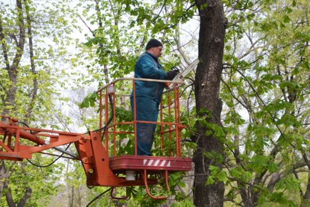 Нынешней весной в Одессе высадят более 4000 квадратных метров цветников и установят освещение в городских скверах (фото, видео)