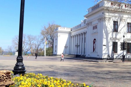 Улицы и зеленые зоны города украсили цветочные орнаменты (фоторепортаж)