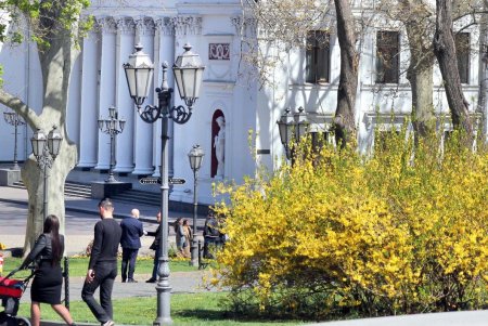Улицы и зеленые зоны города украсили цветочные орнаменты (фоторепортаж)