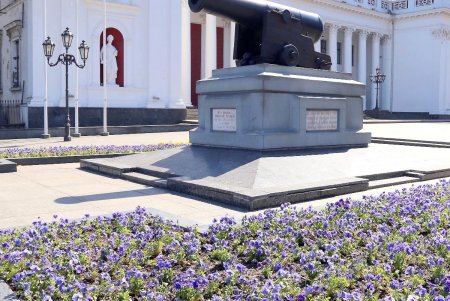 Улицы и зеленые зоны города украсили цветочные орнаменты (фоторепортаж)