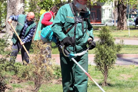 Улицы и зеленые зоны города украсили цветочные орнаменты (фоторепортаж)