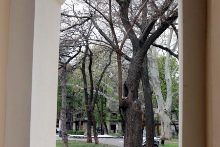 В сквере Пале-Рояль меняют дорожное покрытие (фоторепортаж)
