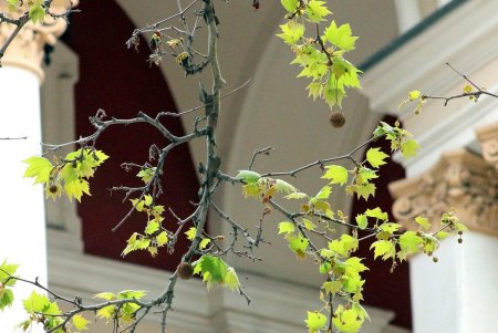 В сквере Пале-Рояль меняют дорожное покрытие (фоторепортаж)