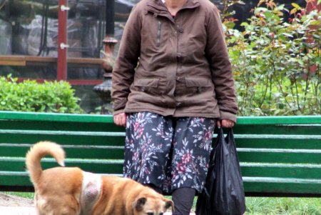 В сквере Пале-Рояль меняют дорожное покрытие (фоторепортаж)