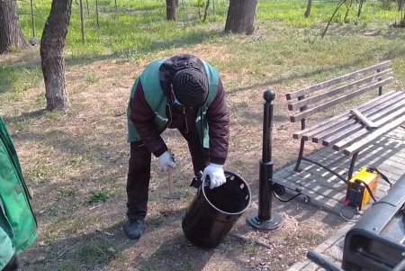 Сломанные мусорные урны в парке Шевченко восстановили и вернули на место (фото)
