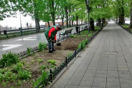 Более сотни озеленителей ежедневно приводят в порядок парки и скверы (фото)