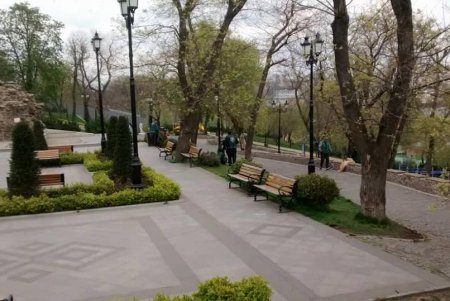 Более сотни озеленителей ежедневно приводят в порядок парки и скверы (фото)