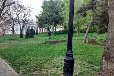 Более сотни озеленителей ежедневно приводят в порядок парки и скверы (фото)