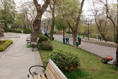 Более сотни озеленителей ежедневно приводят в порядок парки и скверы (фото)
