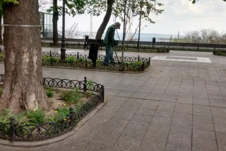 Более сотни озеленителей ежедневно приводят в порядок парки и скверы (фото)