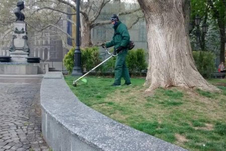 Более сотни озеленителей ежедневно приводят в порядок парки и скверы (фото)