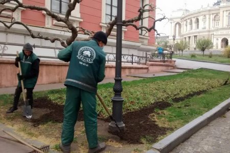 Более сотни озеленителей ежедневно приводят в порядок парки и скверы (фото)