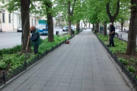 Более сотни озеленителей ежедневно приводят в порядок парки и скверы (фото)