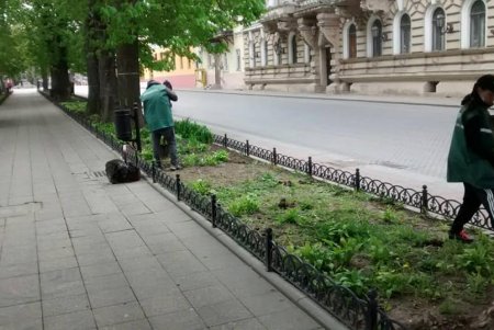 Более сотни озеленителей ежедневно приводят в порядок парки и скверы (фото)