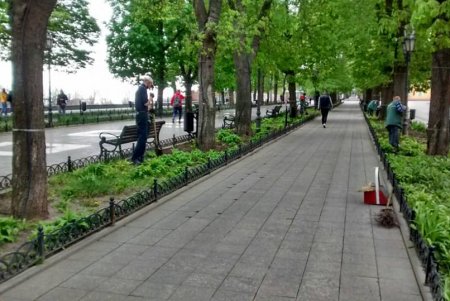 Более сотни озеленителей ежедневно приводят в порядок парки и скверы (фото)