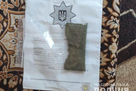 Белгород-Днестровские правоохранители задержали троих наркодилеров, двое из которых подозреваются и в имущественном преступлении (фото, видео)