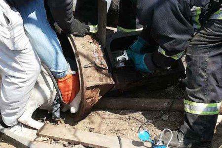 В Белгород-Днестровском районе спасли аргентинского дога, застрявшего в коробке передач грузовика (фото)