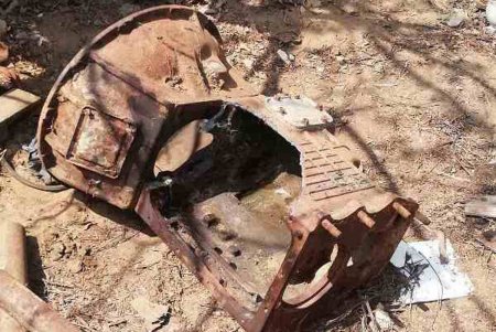 В Белгород-Днестровском районе спасли аргентинского дога, застрявшего в коробке передач грузовика (фото)