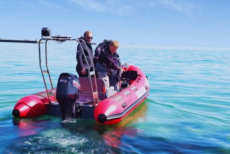 Подготовка к курортному сезону: водолазы обследуют морское дно на одесских пляжах (фото)