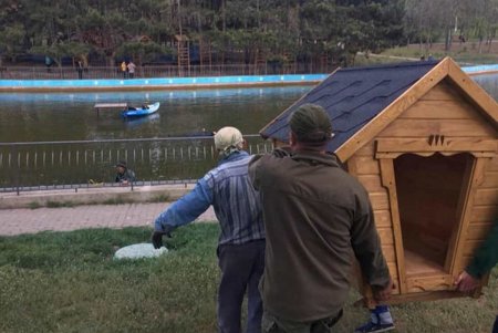 Домики для водоплавающих птиц устанавливают в парке Победы (фото)