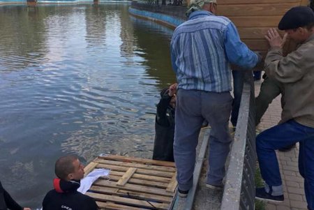 Домики для водоплавающих птиц устанавливают в парке Победы (фото)