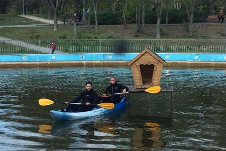 Домики для водоплавающих птиц устанавливают в парке Победы (фото)