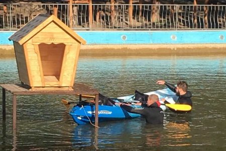 Домики для водоплавающих птиц устанавливают в парке Победы (фото)