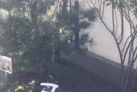 Одесса наполняется ароматом цветущих каштанов (фото)
