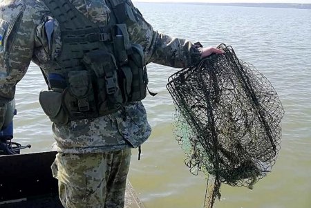 В Днестровском лимане пограничники обнаружили почти километр браконьерских сетей и 60 килограммов ценных биоресурсов (фото)